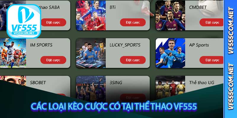 Các loại kèo cược có tại Thể Thao VF555