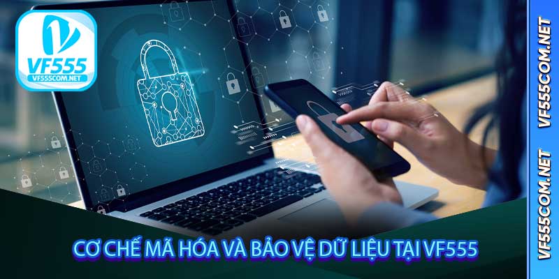 Cơ Chế Mã Hóa Và Bảo Vệ Dữ Liệu Tại VF555