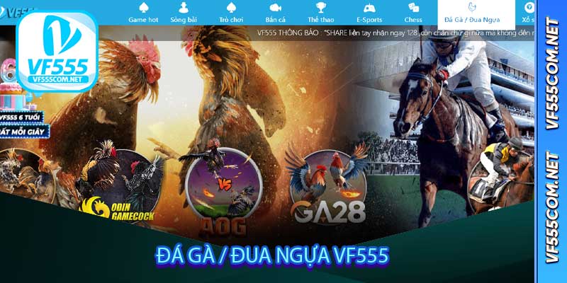 Đá Gà / Đua Ngựa VF555