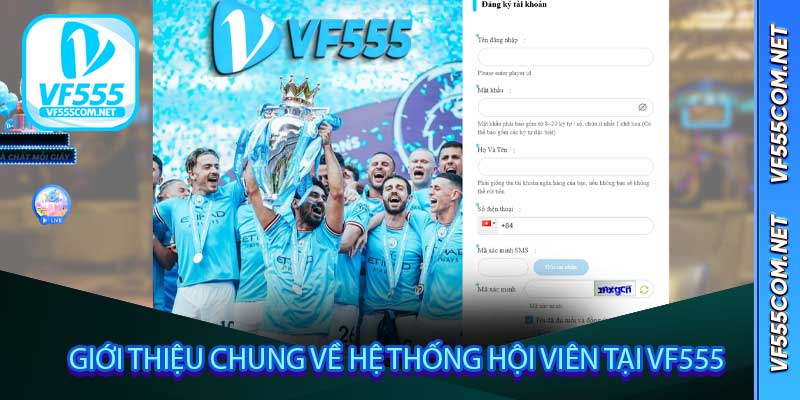 Giới thiệu chung về hệ thống hội viên tại VF555