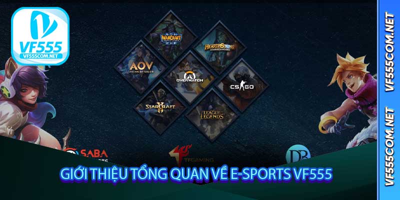 Giới thiệu tổng quan về E-Sports VF555