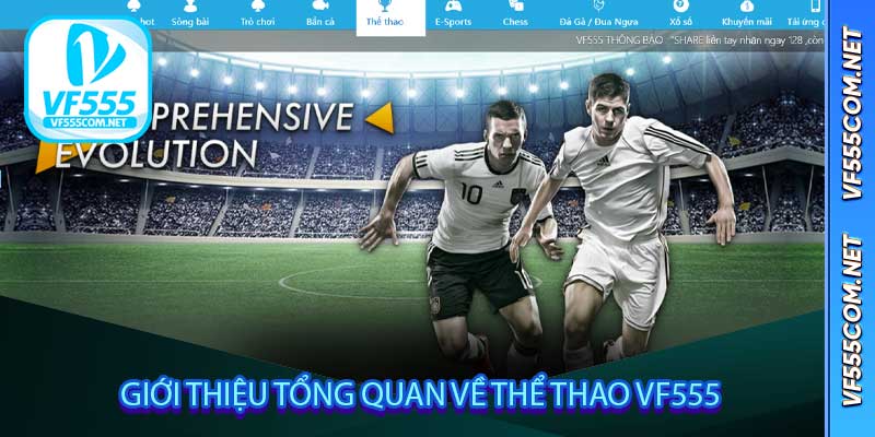 Giới thiệu tổng quan về Thể Thao VF555