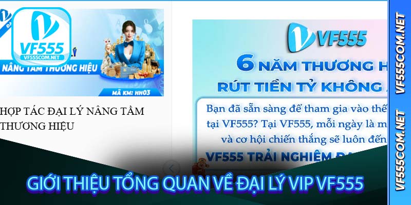 Giới thiệu tổng quan về Đại Lý Vip VF555